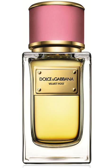 rose perfume dolce gabbana